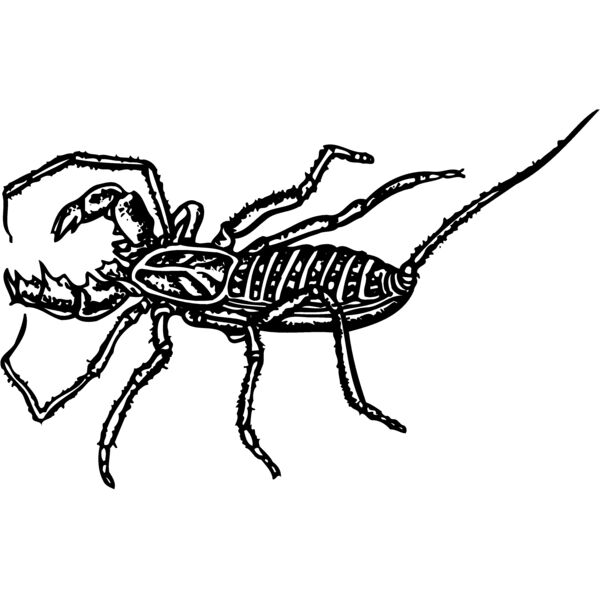 SCORP02 Thumbnail
