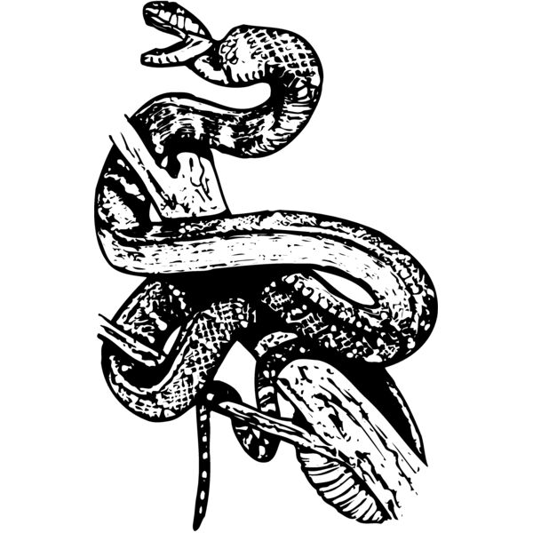 SNAKE008 Thumbnail