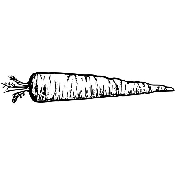 VEG010 Thumbnail