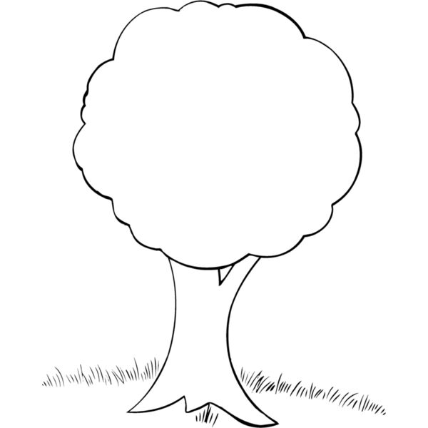 TREE0033 Thumbnail