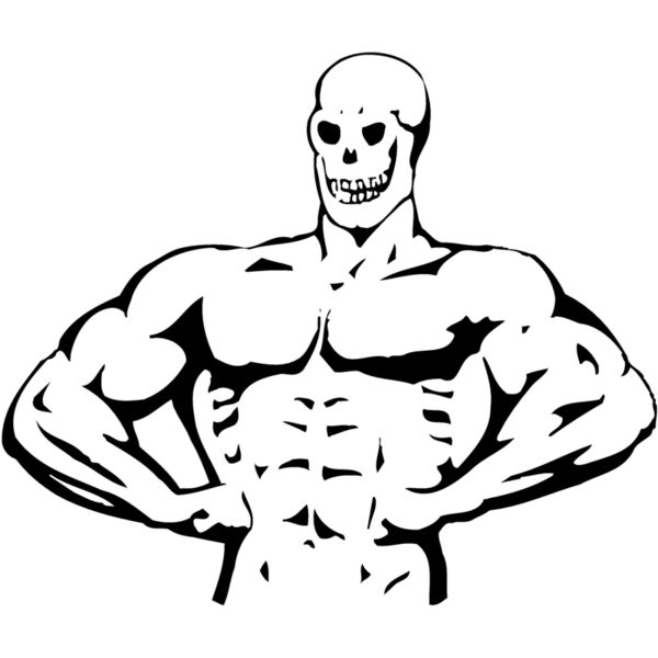 BODYBLD2 Thumbnail