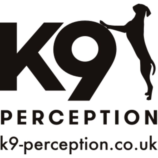 K9 logo dog bandana for Black DTF Thumbnail