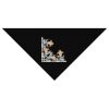 SOL'S Bandana Thumbnail